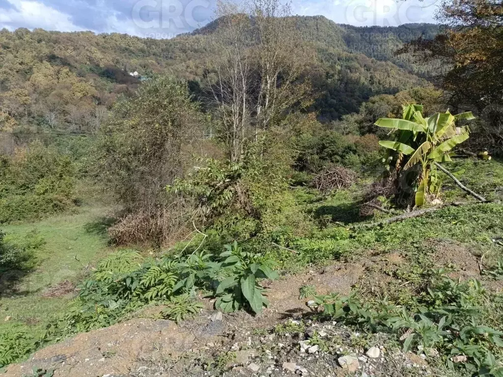 Участок в Краснодарский край, Сочи городской округ, с. Варваровка пер. ... - Фото 0