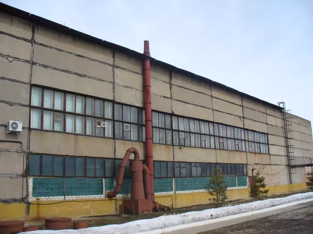 Производственное помещение в Рязанская область, Скопинский район, ... - Фото 0