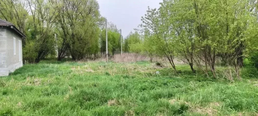 Участок в Калининградская область, Гурьевский муниципальный округ, ... - Фото 1