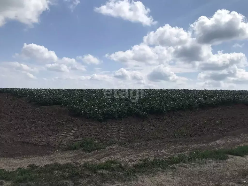 Участок в Иркутская область, Иркутский район, Маркова рп  (45.0 сот.) - Фото 0