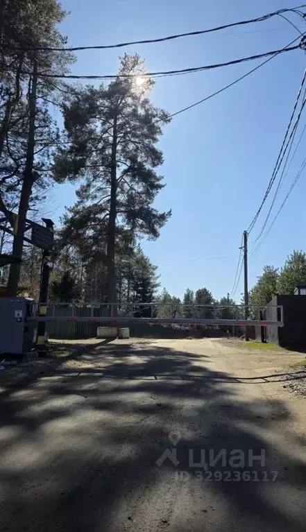 Участок в Ленинградская область, Приозерский район, Сосновское с/пос, ... - Фото 2