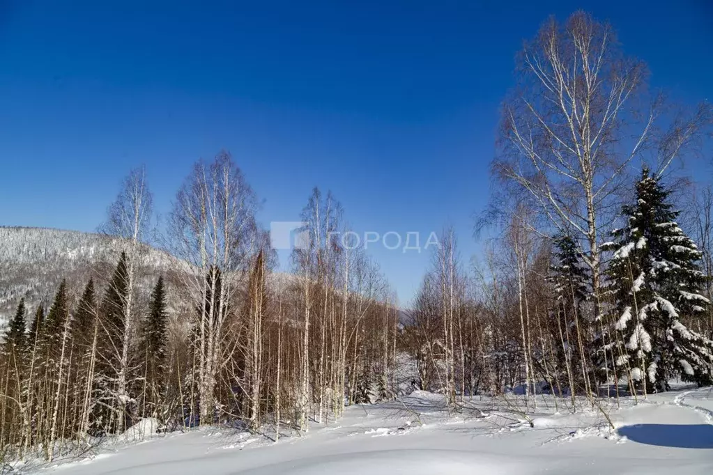 Участок в Кемеровская область, Таштагол ул. Зои Космодемьянской (15.0 ... - Фото 1