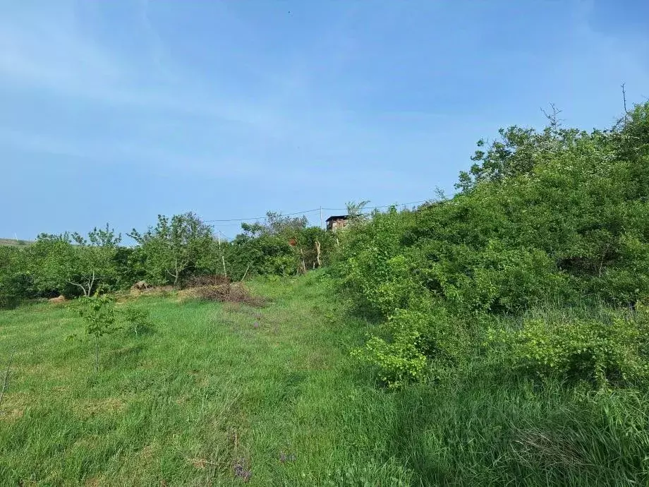 Участок в Крым, Феодосия муниципальный округ, с. Виноградное ул. ... - Фото 2