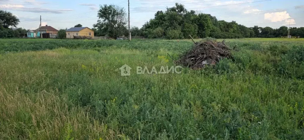 Участок в Тамбовская область, Тамбовский муниципальный округ, с. ... - Фото 0