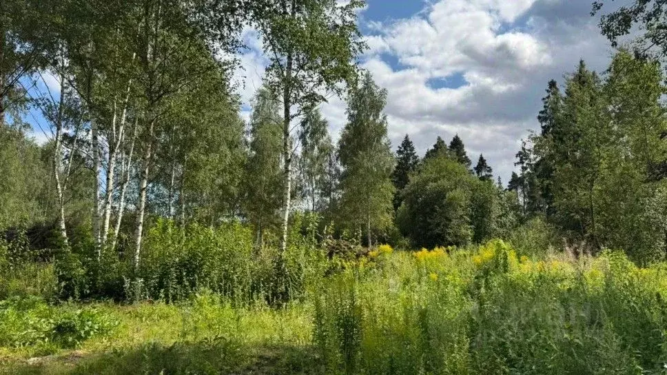 Участок в Московская область, Красногорск городской округ, д. ... - Фото 2