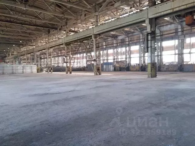 Склад в Московская область, Раменское ул. Михалевича, 49 (3188 м) - Фото 1