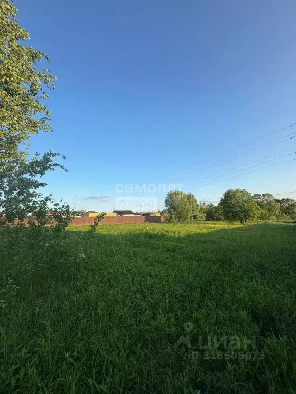 Участок в Московская область, Солнечногорск городской округ, д. ... - Фото 1