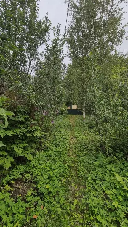 Участок в Ленинградская область, Всеволожский район, Лесколовское ... - Фото 0