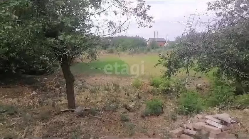 Участок в Ростовская область, Аксайский район, Ольгинское с/пос, ... - Фото 1