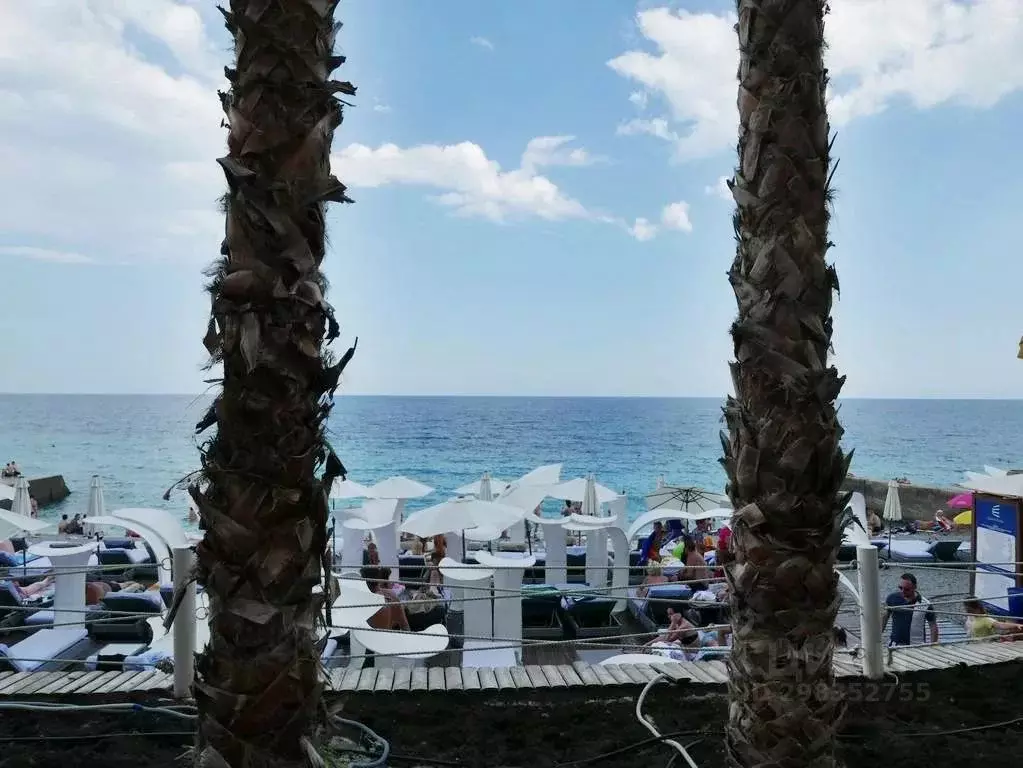 1-к кв. Крым, Ялта проезд Парковый, 6Б (45.0 м) - Фото 2