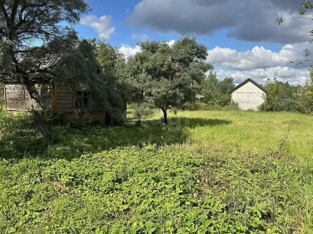 Участок в Костромская область, Костромской район, Чернопенское с/пос, ... - Фото 1