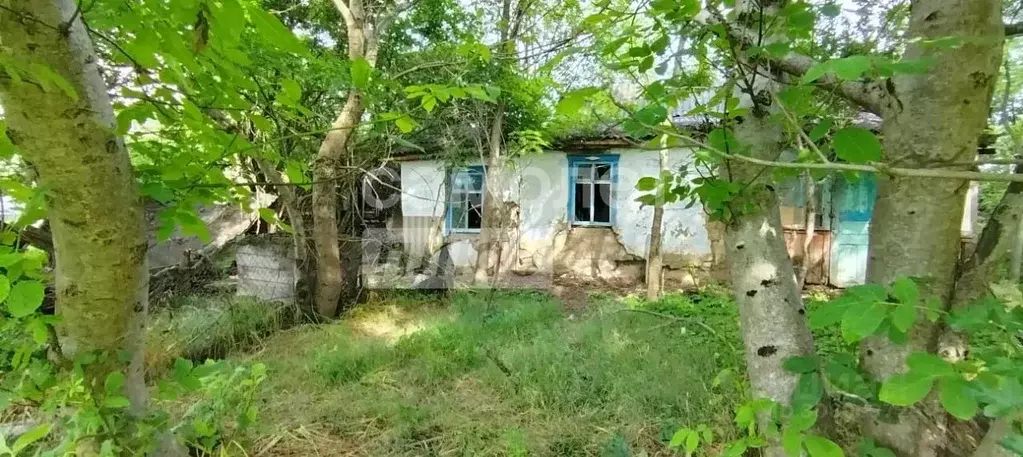 Участок в Краснодарский край, Абинское городское поселение, Шапсугская ... - Фото 0