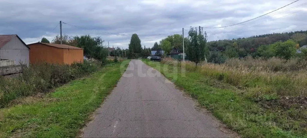 Участок в Мордовия, Саранск городской округ, д. Танеевка ул. ... - Фото 1