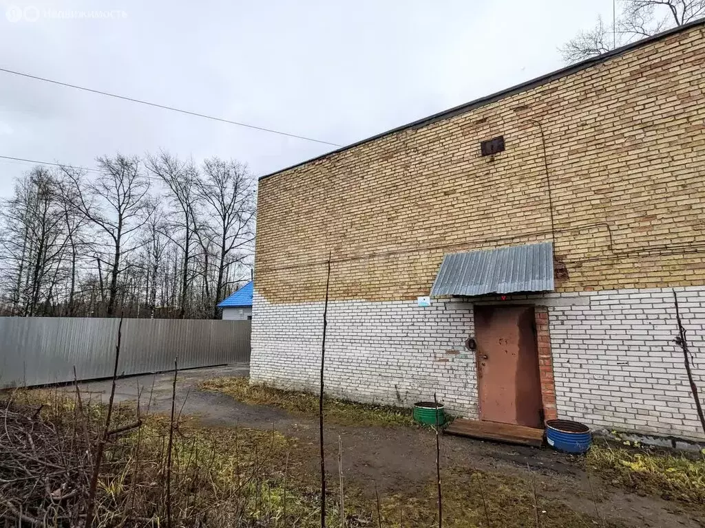 Офис (493.3 м) - Фото 2