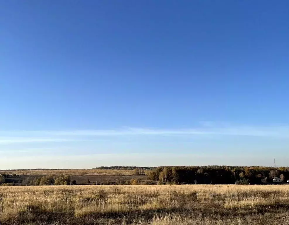 Участок в Московская область, Серпухов городской округ, д. Тульчино  ... - Фото 1