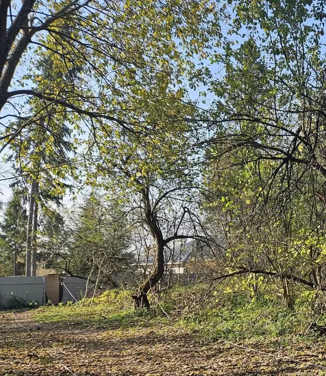 Участок в Московская область, Апрелевка Наро-Фоминский городской ... - Фото 0