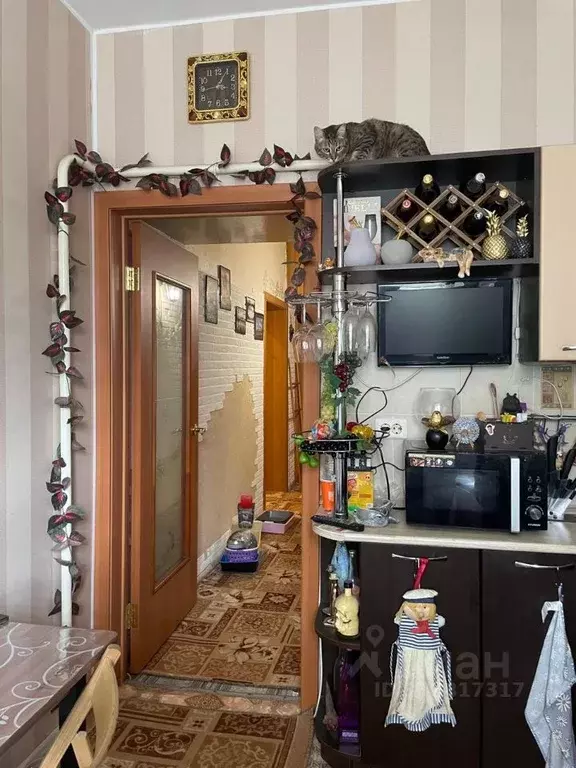 3-к кв. Челябинская область, Челябинск Байкальская ул., 19 (83.3 м) - Фото 1