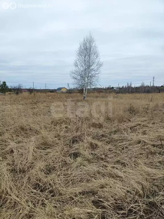 Участок в Шадринск, улица Клеванцова (10 м) - Фото 2