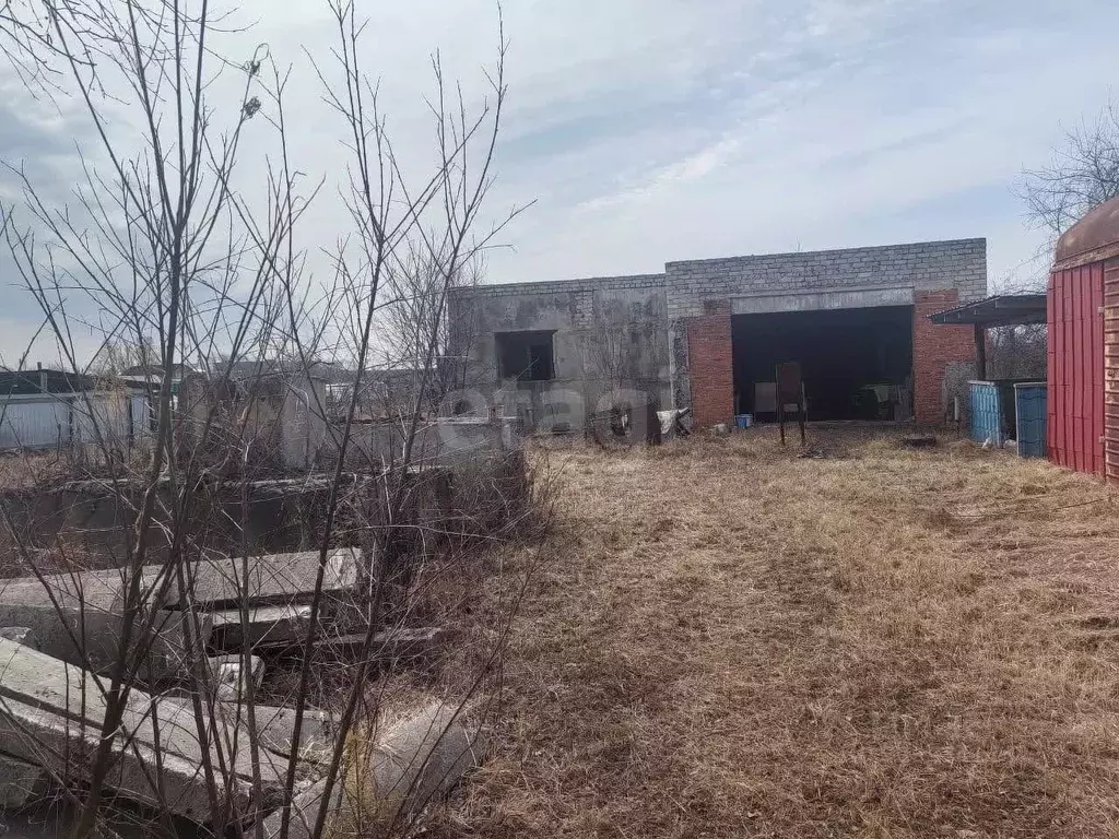 Участок в Амурская область, Белогорск Поселок остров, ул. 1-я ... - Фото 1