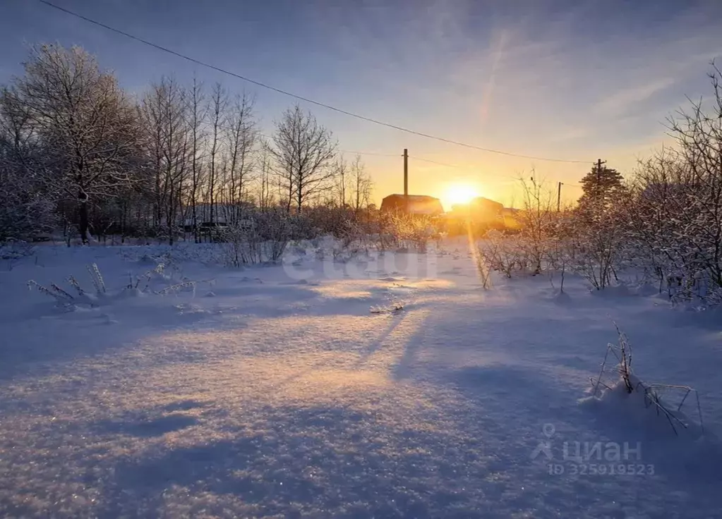 Участок в Смоленская область, Смоленск Садовое товарищество Северный-3 ... - Фото 1