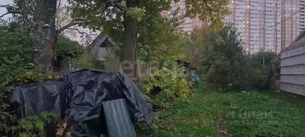 Участок в Ленинградская область, Мурино Всеволожский район, Садовая ... - Фото 1