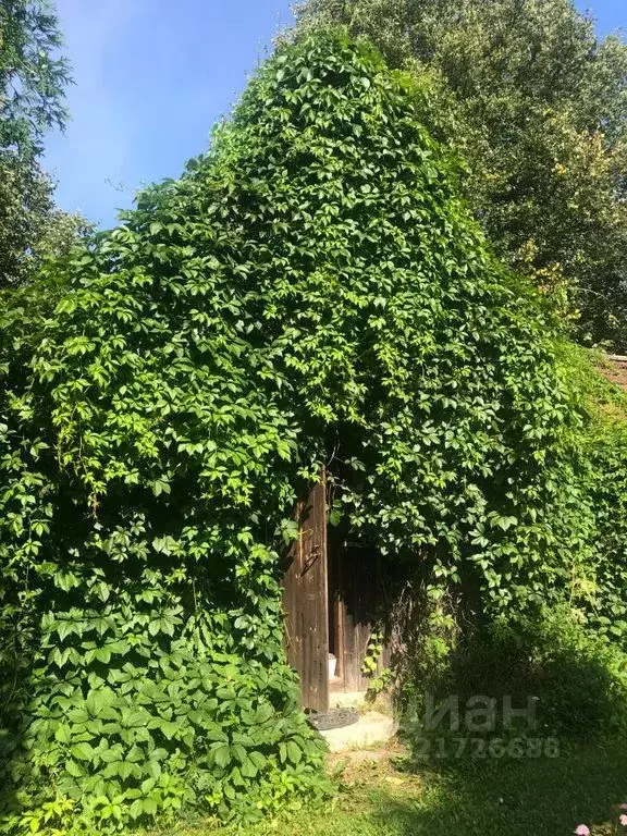 Дом в Псковская область, Пустошкинский район, Алольская волость, д. ... - Фото 1