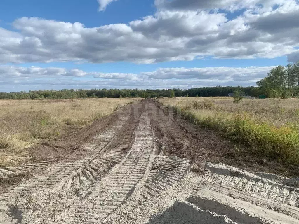 Участок в Курская область, Курский район, Нижнемедведицкий сельсовет, ... - Фото 1