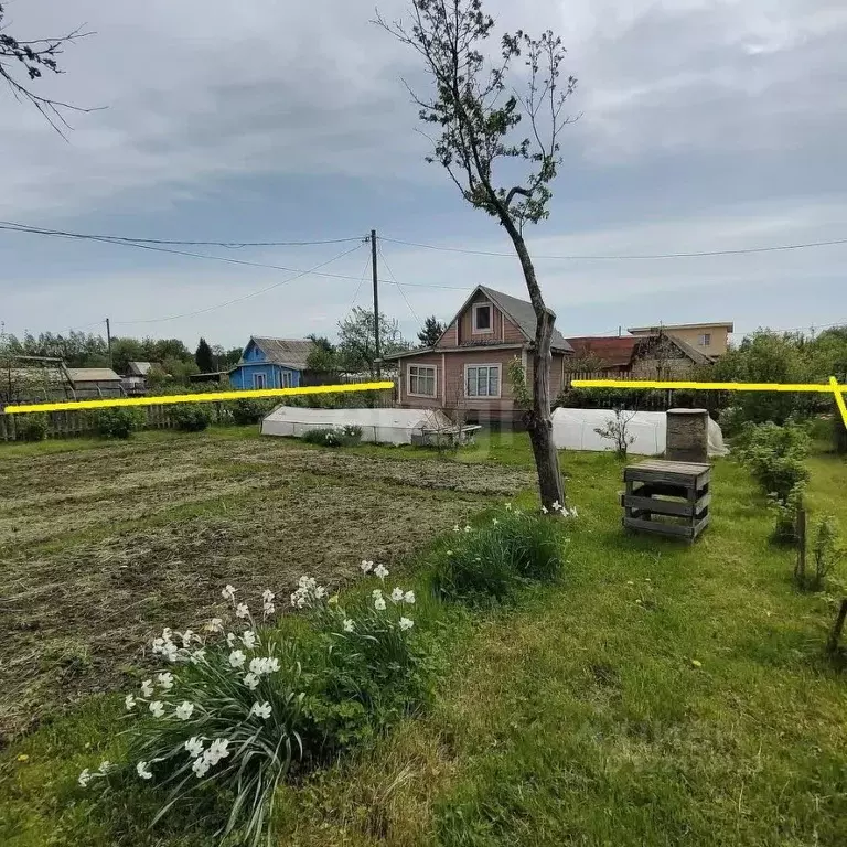 Дом в Вологодская область, Вологда Черемушки-3 садоводческое ... - Фото 2