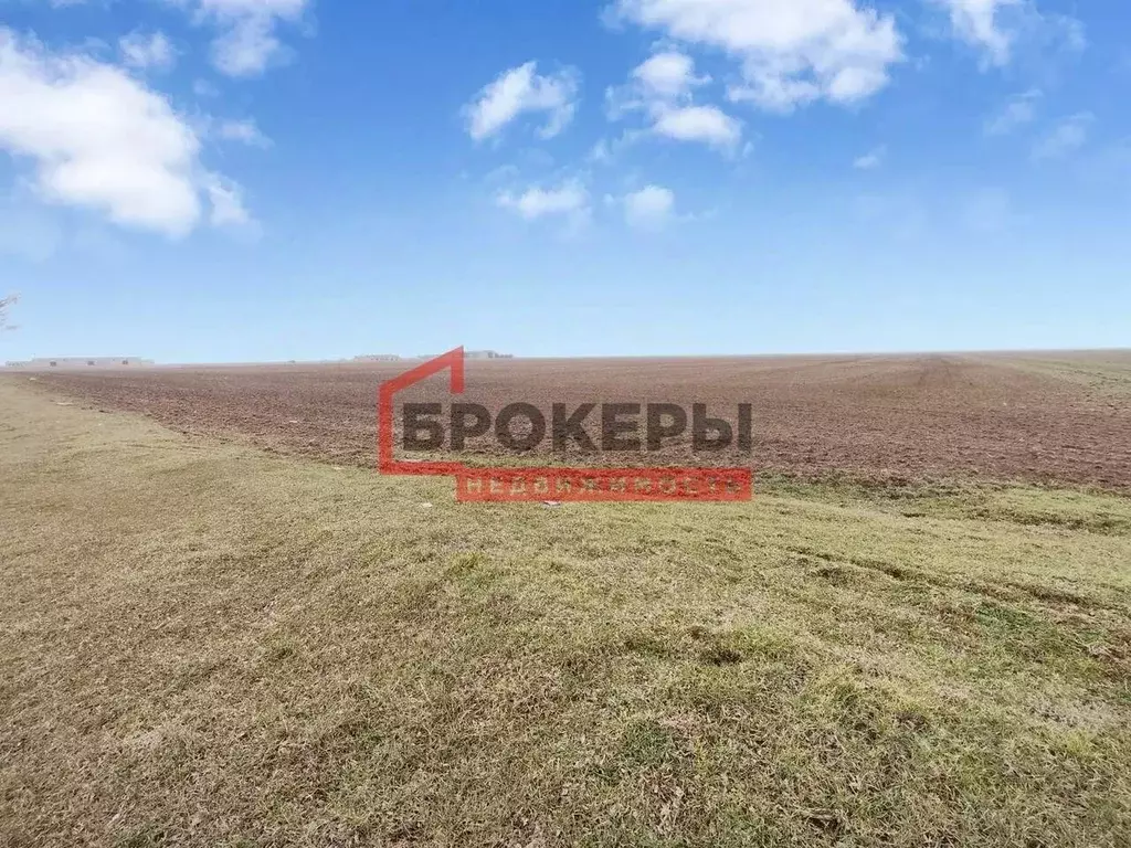 Участок в Крым, Сакский район, с. Молочное ул. Пионерская (990.0 сот.) - Фото 1