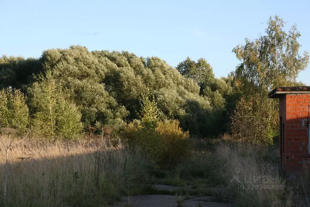 Участок в Московская область, Сергиево-Посадский городской округ, д. ... - Фото 2
