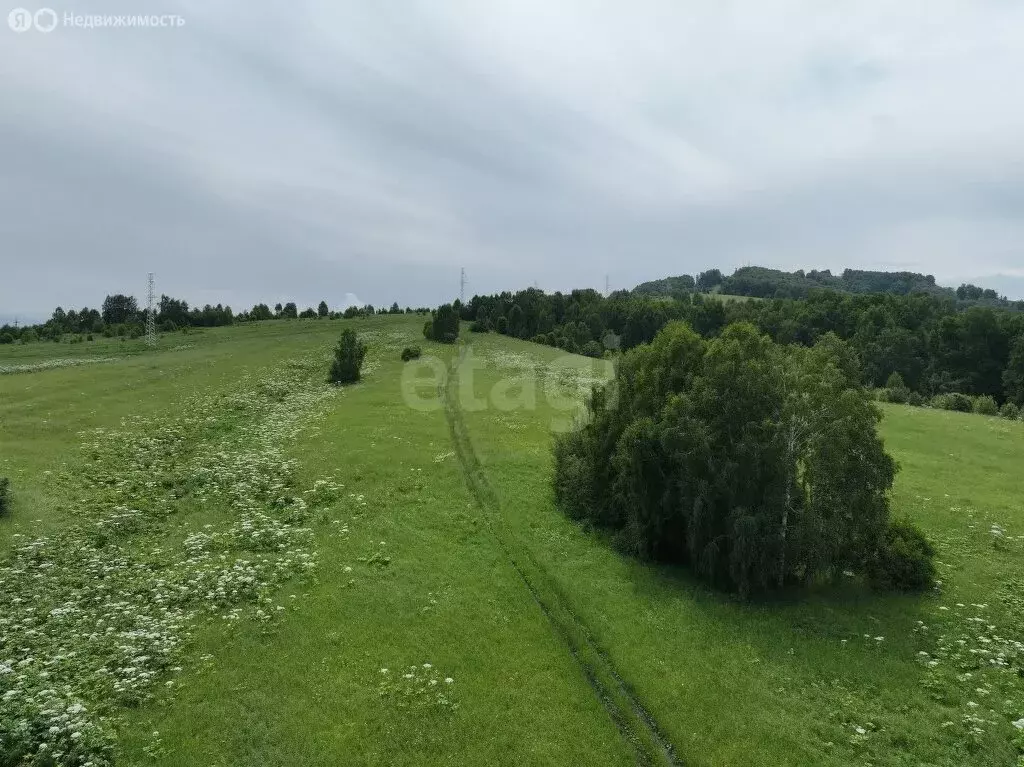 Участок в Майминский район, село Майма (8 м) - Фото 2