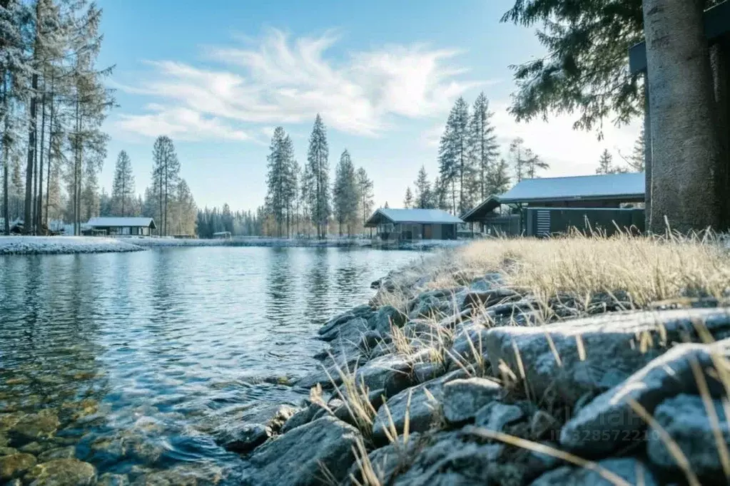 Участок в Московская область, Клин городской округ, Ели Эстейт ... - Фото 1