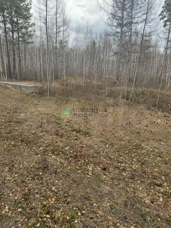 Участок 10 сот. (СНТ, ДНП) - Фото 0