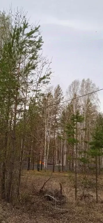 Участок в Свердловская область, Ревда городской округ, с. Кунгурка  ... - Фото 1