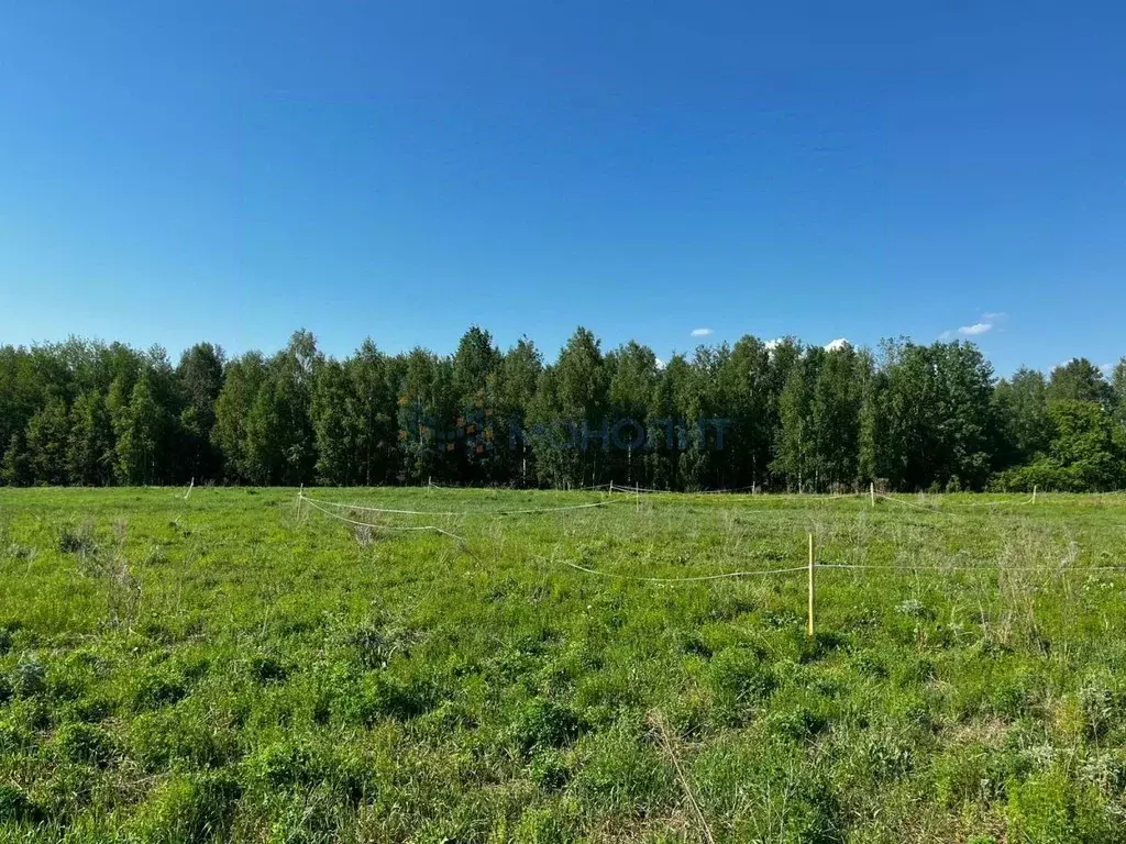 Участок в Нижегородская область, Кстовский муниципальный округ, д. ... - Фото 0