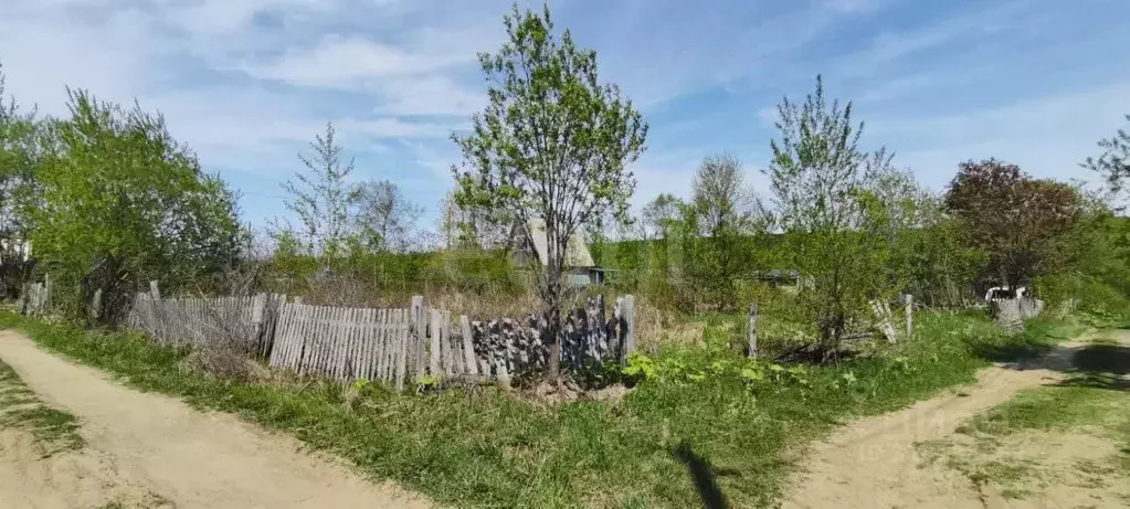 Участок в Сахалинская область, Долинский городской округ, с. ... - Фото 1