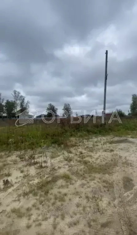 Участок в Тюменская область, Тюмень Царево садовое товарищество, ул. ... - Фото 1
