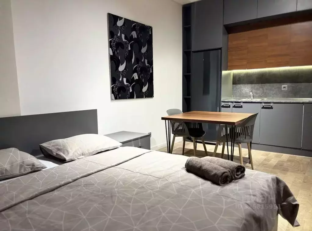 Студия Краснодарский край, Сочи ул. Полтавская, 21Ак1 (20.0 м) - Фото 1