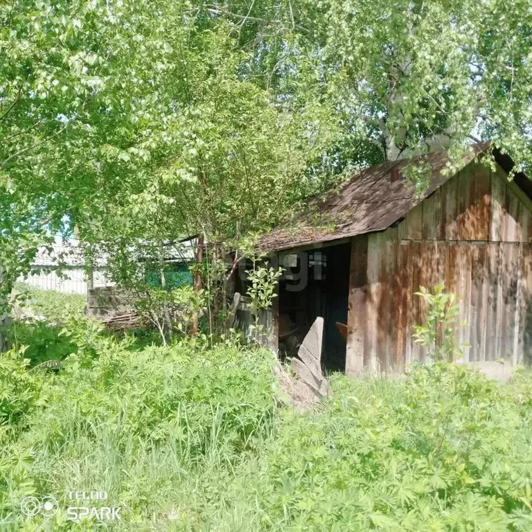 Участок в Алтай, Горно-Алтайск Алтай-4 СНТ,  (9.0 сот.) - Фото 2