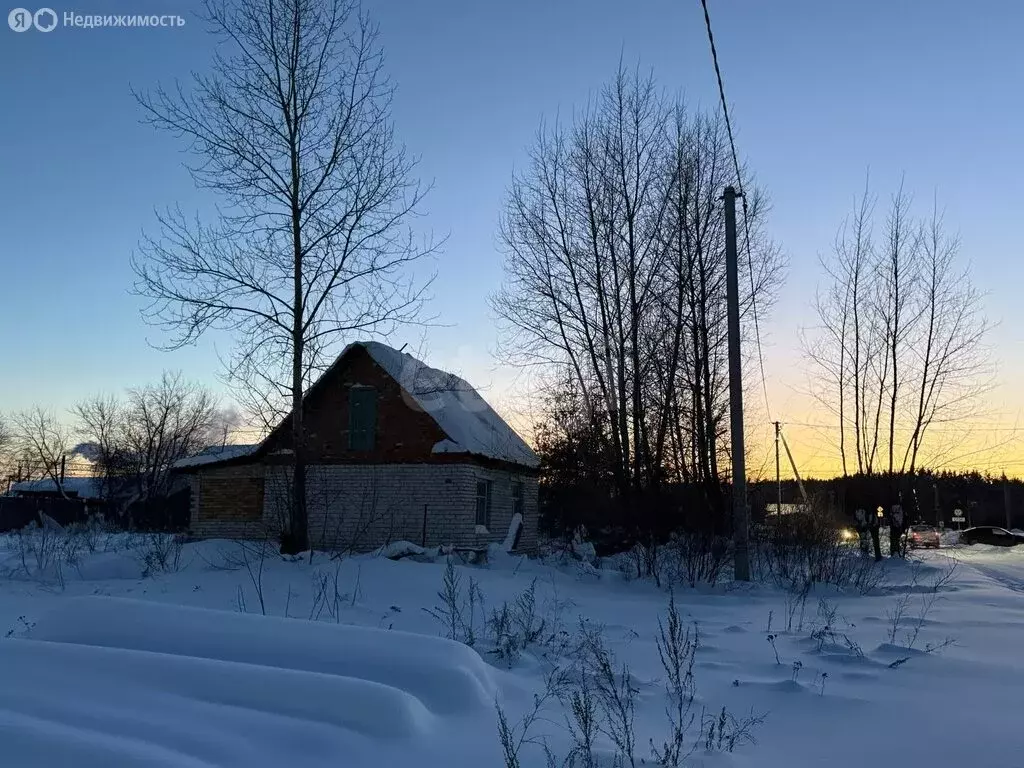 Участок в Курганская область, Каргапольский муниципальный округ, ... - Фото 2