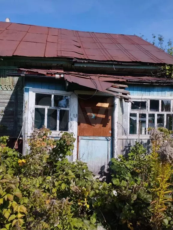 Участок 6 сот. (СНТ, ДНП) - Фото 1