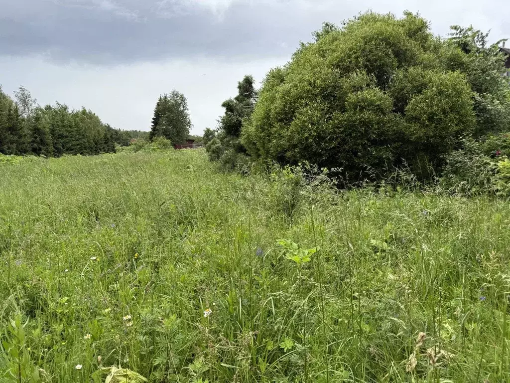 Участок в Московская область, Пушкинский городской округ, д. Хлопенево ... - Фото 1