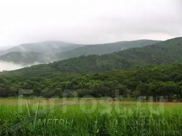 Участок в Приморский край, Пограничный пгт  (45430.0 сот.) - Фото 2