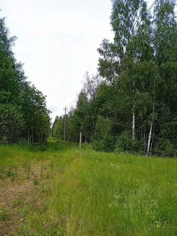 Участок в Ленинградская область, Выборгский район, Полянское с/пос  ... - Фото 2