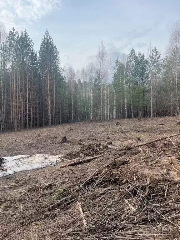Участок в Татарстан, Зеленодольск Трудовик СНТ,  (5.0 сот.) - Фото 1