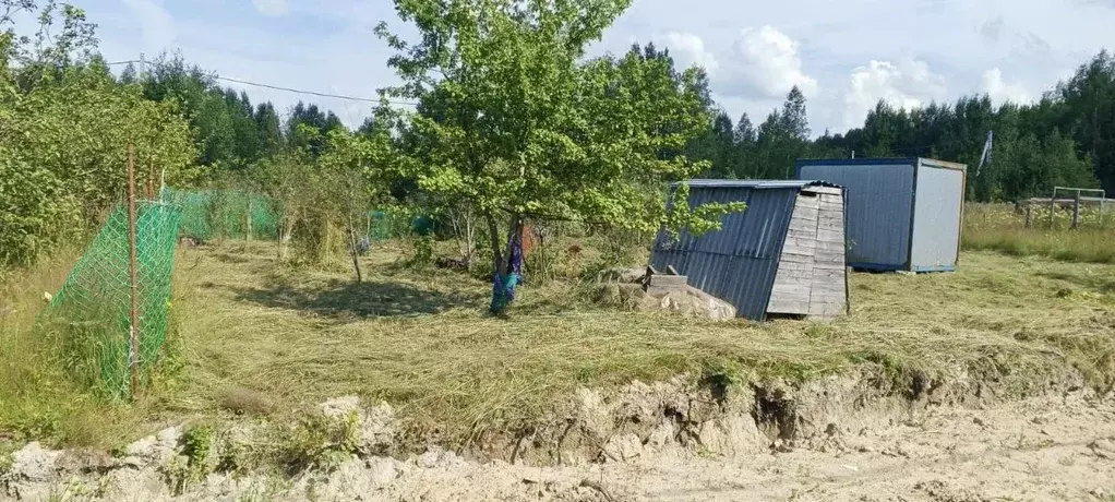 Участок в Ленинградская область, Ломоносовский район, Виллозское ... - Фото 1