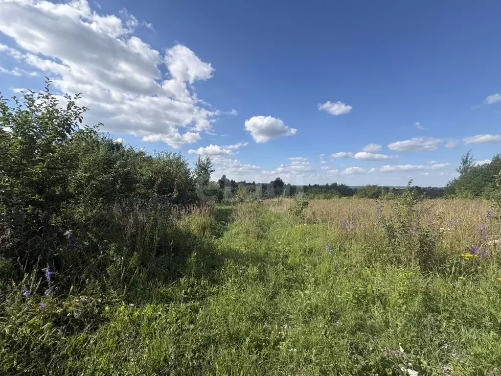Участок в Мордовия, Рузаевский район, с. Левжа Родниковая ул. (15.0 ... - Фото 1