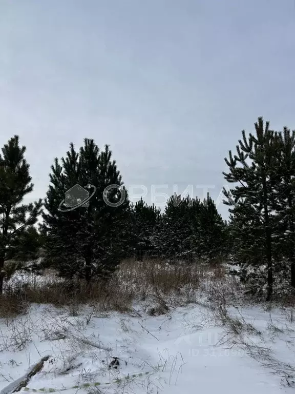 Участок в Тюменская область, Тюменский район, д. Речкина  (6.55 сот.) - Фото 0