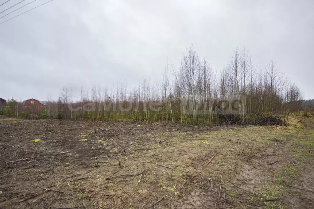 Участок в Московская область, Наро-Фоминский городской округ, Парус дп ... - Фото 1