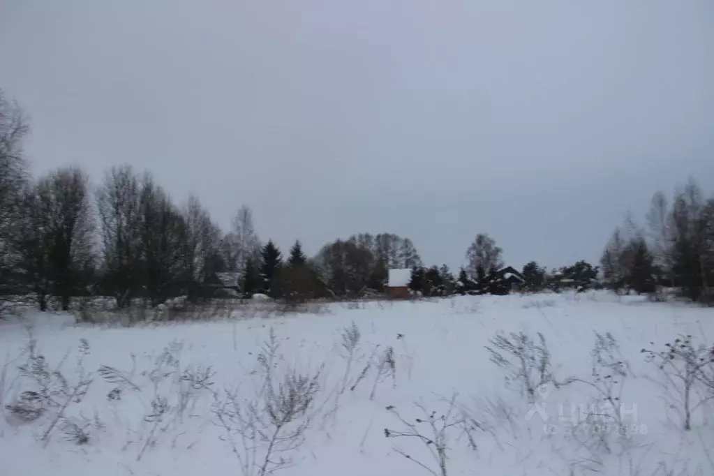 Участок в Московская область, Шаховская муниципальный округ, д. Ржищи  ... - Фото 2